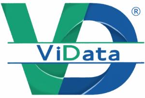 ViData Consultores